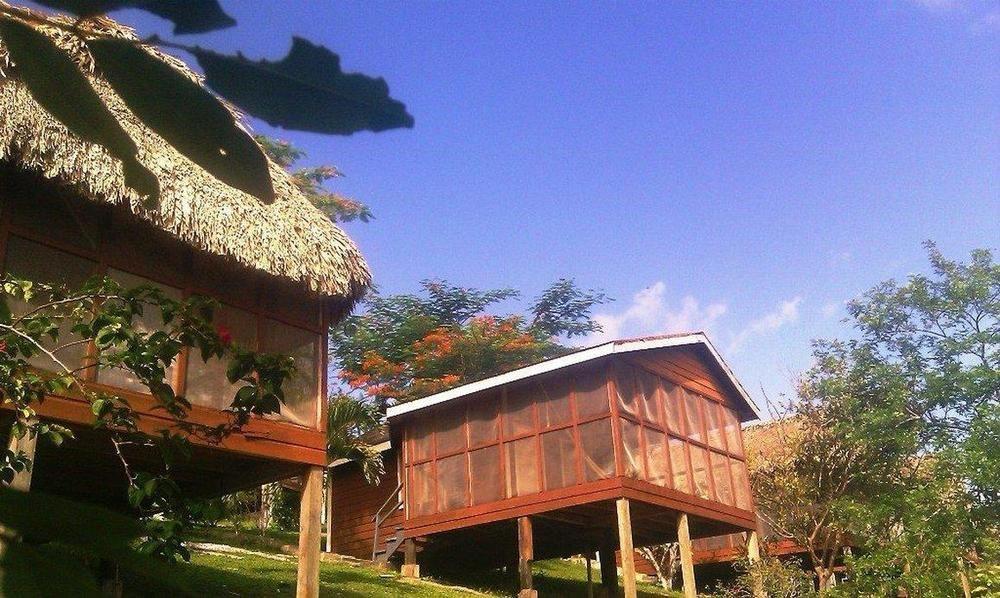 Cahal Pech Village Resort San Ignacio Comodidades foto